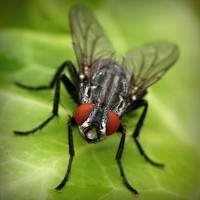 /album/faydalihacamat/photolia-a01-jpg/