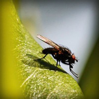 /album/faydalihacamat/photolia-a04-jpg/