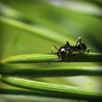 /album/faydalihacamat/photolia-a05-jpg/