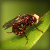 /album/faydalihacamat/photolia-a06-jpg/