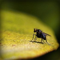 /album/faydalihacamat/photolia-a07-jpg/